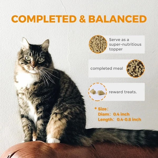 Freeze Dried Raw Cat Food Grain Free Mighty Bites For Cats 16oz High Protein Cat Food